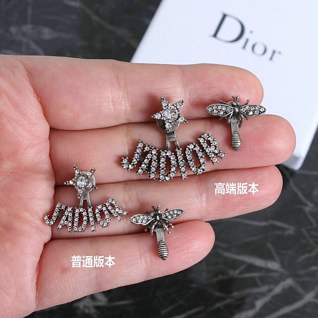 Christian Dior Earrings